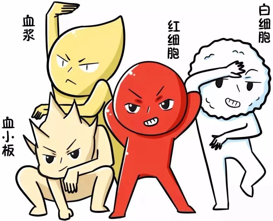 血小板增高有何影响？健康科普详解成因与注意事项，助你科学应对潜在风险