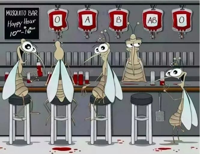 为什么输血不能用小针麻醉针上艺术——可可糖麻醉科普系列（四）_https://www.jmylbn.com_新闻资讯_第13张