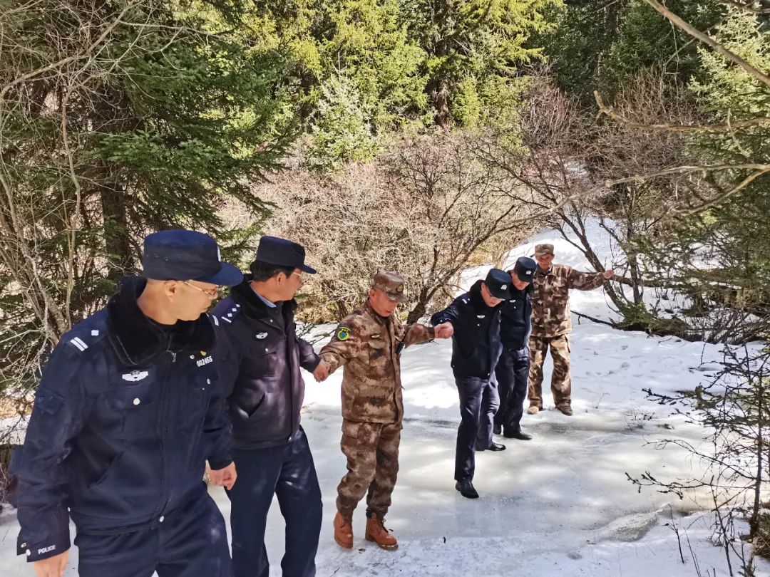 圖片 圖片