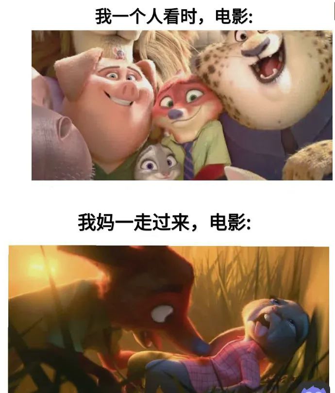 郑爽回应代孕弃养风波,哈哈哈这下真的洗白不了-微信头条网 郑爽回应代孕弃养风波,哈哈哈这下真的洗白不了