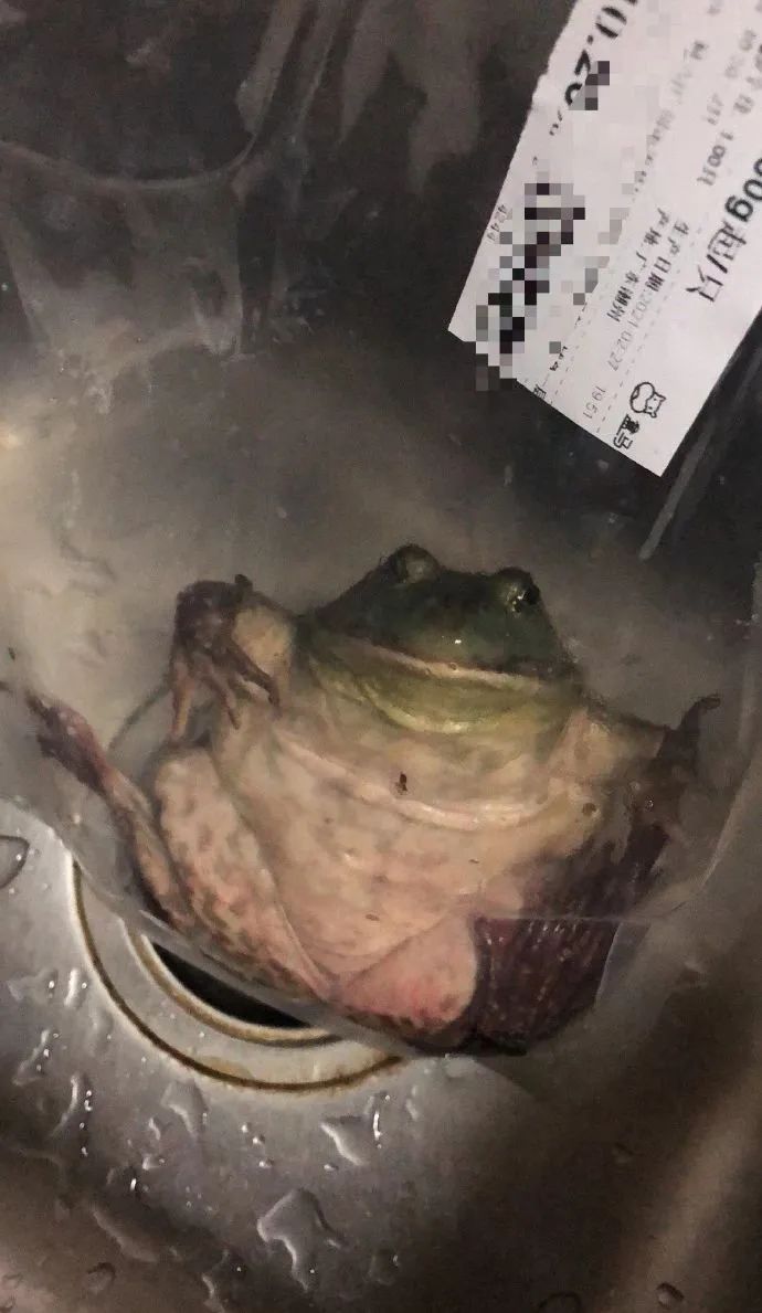 美女如果你想上学，得先学会扣扣子