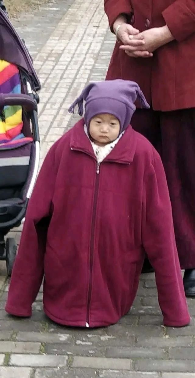 美女逗狗逗猫所引出的问题-微信头条网 美女逗狗逗猫所引出的问题