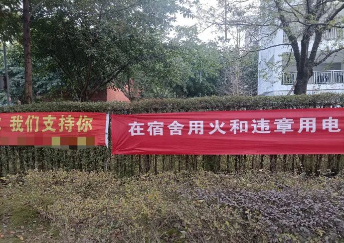 美女逗狗逗猫所引出的问题-微信头条网 美女逗狗逗猫所引出的问题