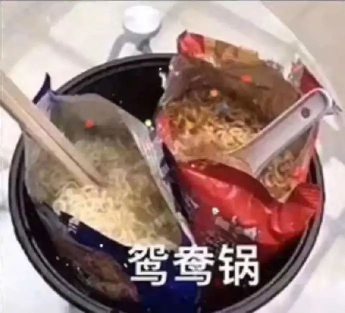 美女逗狗逗猫所引出的问题-微信头条网 美女逗狗逗猫所引出的问题