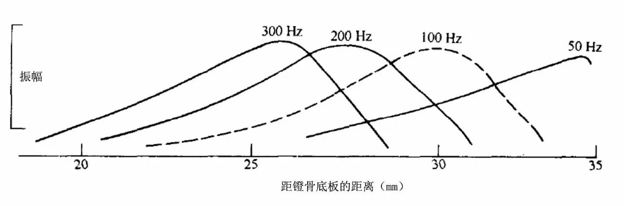 耳声发射图怎么看客观测听 ｜ 耳声发射_https://www.jmylbn.com_新闻资讯_第3张