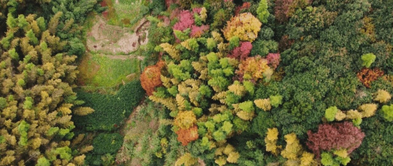 无需滤镜！来金华这些地方孵日头，大片一键直出→