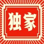 独家大料