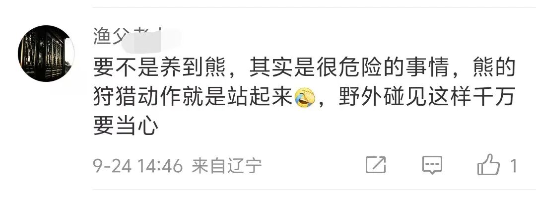 景区黑熊披袈裟直立行走