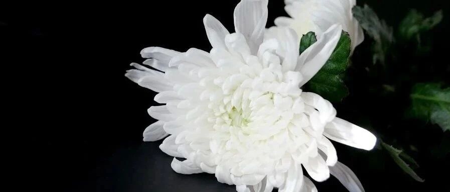 突然！“中国第一股民”离世