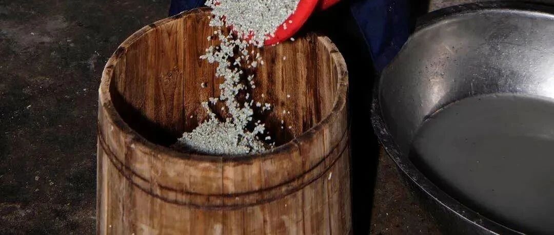 浙江很多人爱的这道美食，清明前后味道最佳!清香有嚼劲，做法也简单……