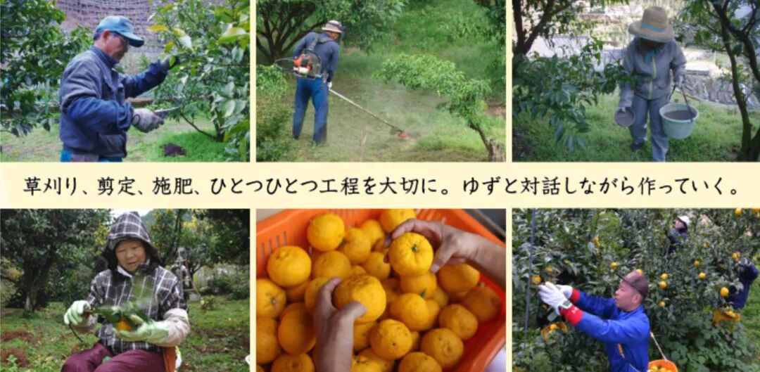 一口冰镇柚子酒 我和老板交了朋友 日谈公园 微信公众号文章阅读 Wemp