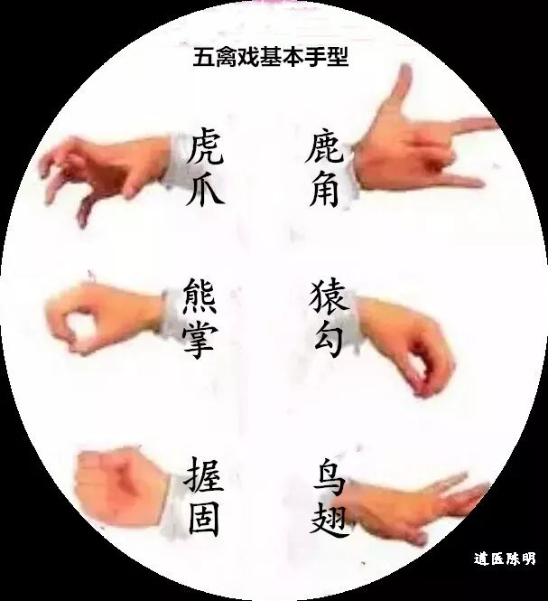 流传千年的华佗五禽戏（视频+图解），人人可学会！