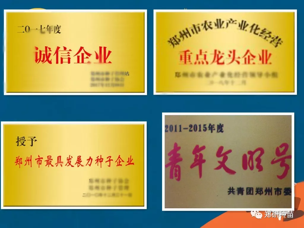 未命名1.jpg