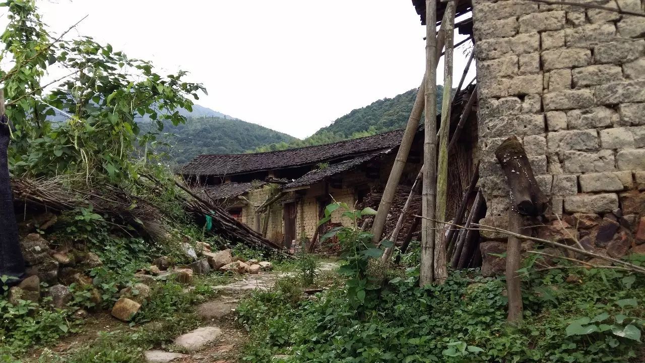 做客石双坑-平和双尖山中的古村落