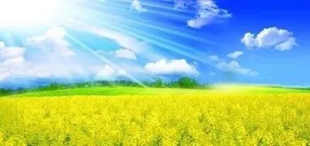 讨好型人格的形成原因 【蓝鹊问答】08 关于顿悟｜讨好型人格突围