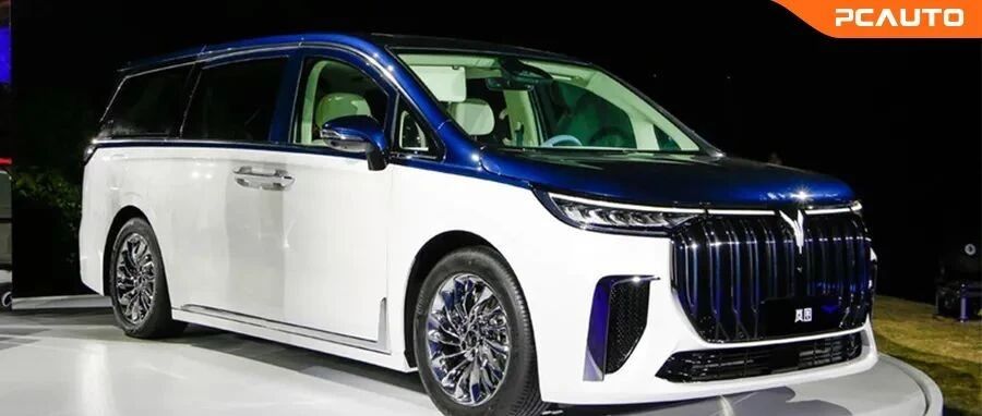5.9s破百，比埃尔法还要大一圈！全球首款大型豪华电动MPV有多牛？