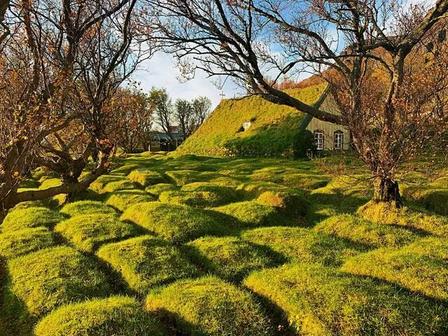 冰岛特色草教堂旁的墓地，竟也如此浪漫！