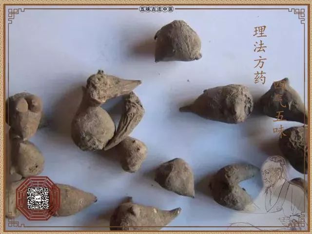 15天优质经验分享图片_优质精选图片_优秀经验分享的好处