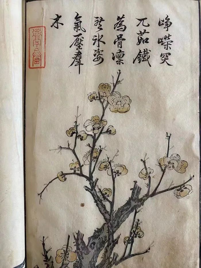 印刷畫的特點_望京畫冊設計印刷_健康教育印刷資料特點