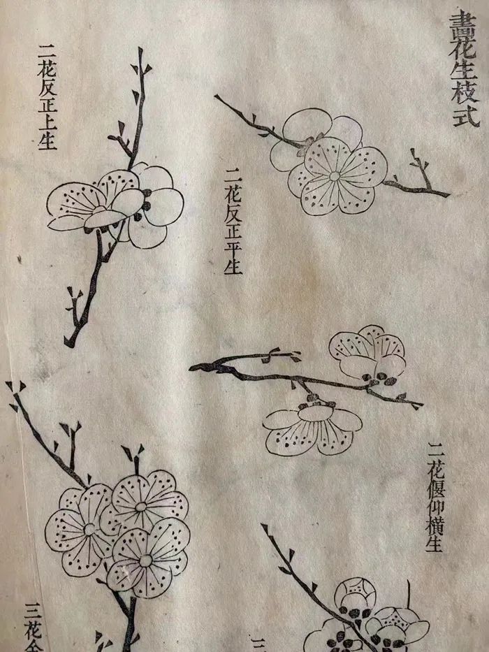 健康教育印刷資料特點_印刷畫的特點_望京畫冊設計印刷