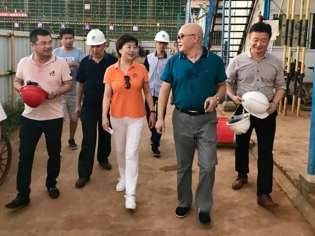 灵康药业集团陶灵萍董事长赴海南生产基地检查调研