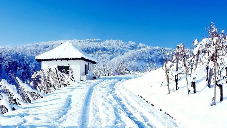 相親網站比較  心理測試：你最喜歡哪個雪景？測出你最愛的人是誰？準！ 未分類 第2張