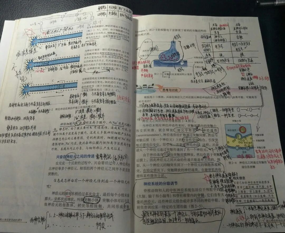 高一2班 钱婧怡1 (复制).jpg