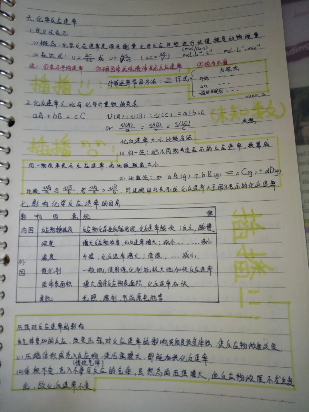 高一3班赵阳 (2) (复制).jpg