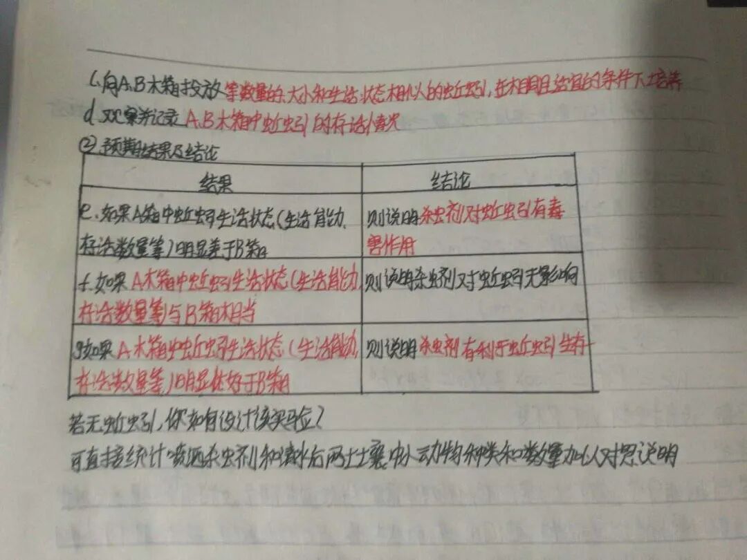 高一11班 邵馨瑜2 (复制).jpg