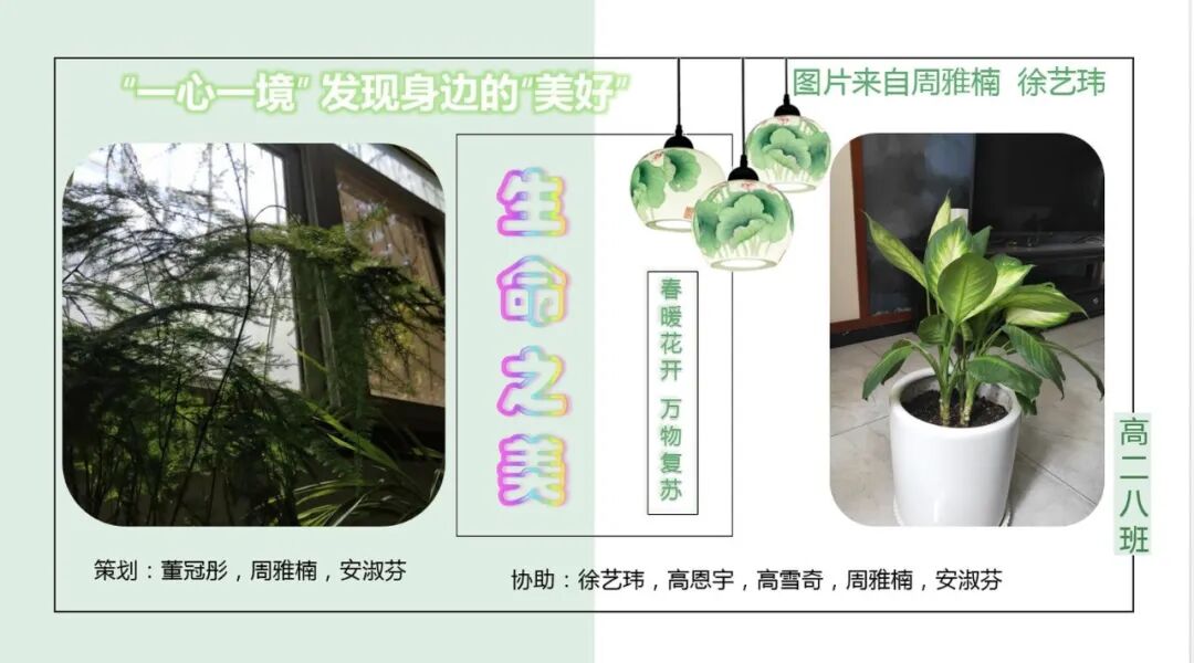 5、高二8班  学生分享.jpg