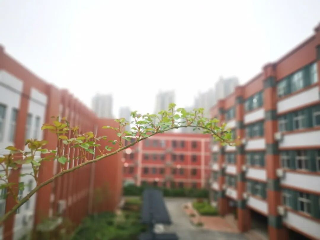 10  迎接学子归来 (复制).jpg