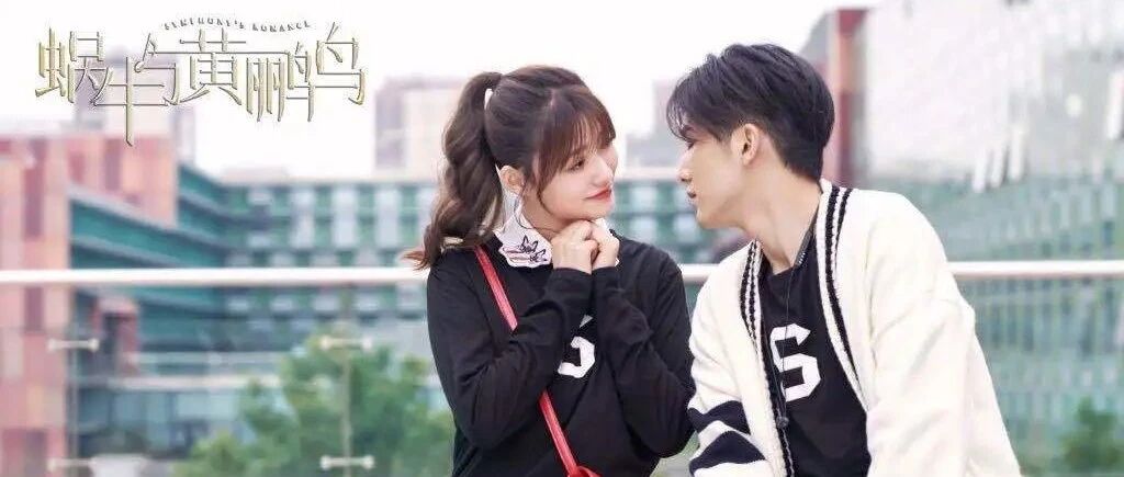 热播｜《蜗牛与黄鹂鸟》：站在青春剧赛道上却深耕专业领域的先行者