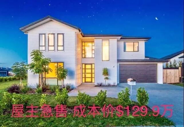 Aja Guo 阿嘉奥克兰人气百强房产经纪人团队|每周北岸|西区|最新