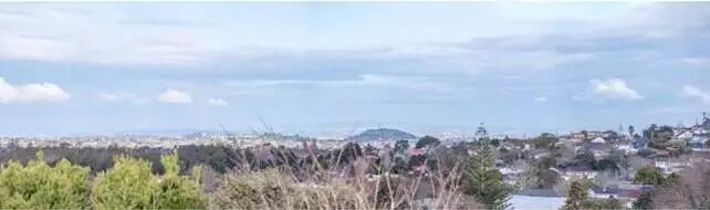 Aja Guo 阿嘉奥克兰人气百强房产经纪人团队|每周北岸|西区|最新