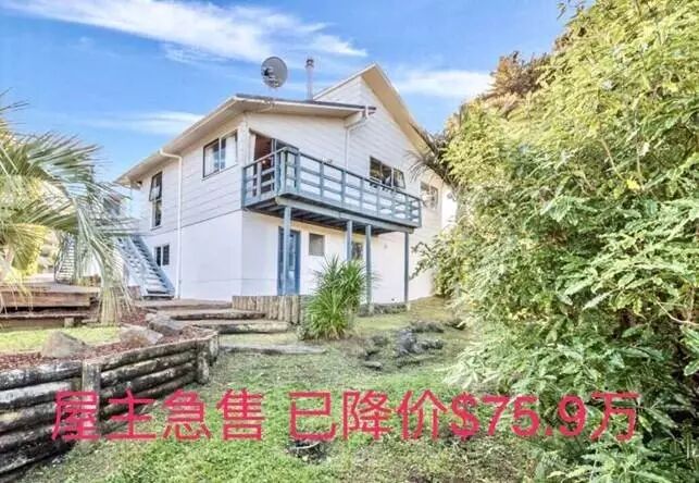 Aja Guo 阿嘉奥克兰人气百强房产经纪人团队|每周北岸|西区|最新