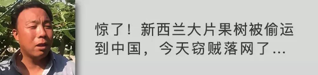 中区Parnell  带建筑许可的混合开发用地