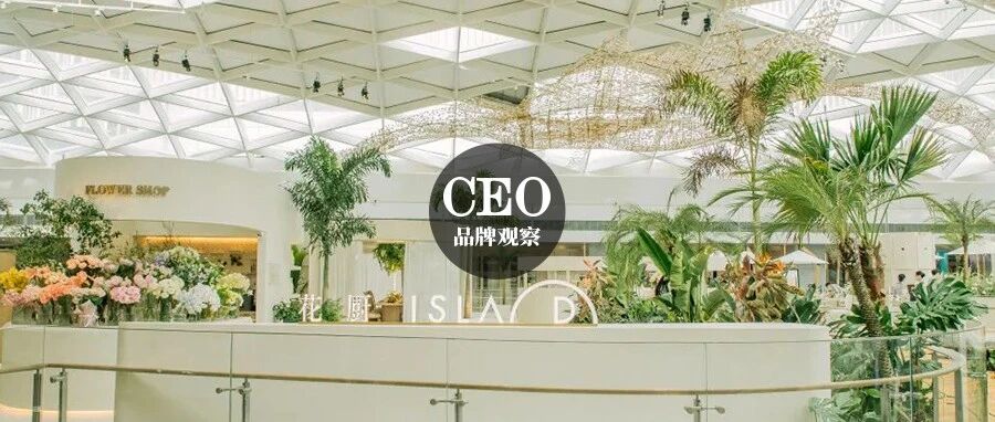 聚焦悦己型消费，花厨如何“长”出最美生活方式？