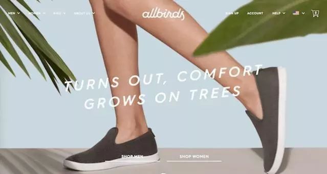 可機洗可裸穿，矽谷人的標配，另類潮鞋Allbirds即將來華開店 時尚 第1張