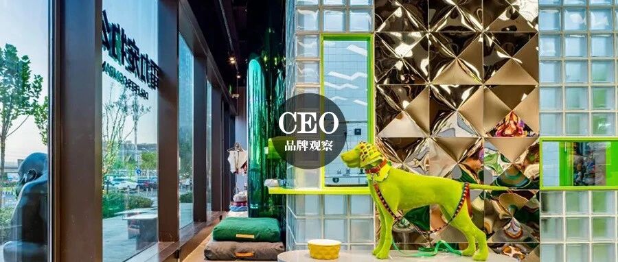 掏空年轻人钱包的宠物经济，“大而全”与“小而美”并存