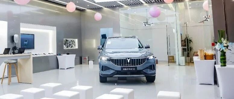 岚图重庆首店在新光天地开业