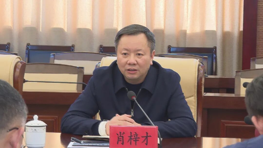 县委书记肖梓才出席会议并讲话,县委常委,宣传部部长雷芳主持会议