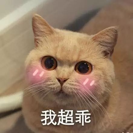 很多人对我们非常喜爱,他们把我们糗照做成了表情包流传在网络之上.