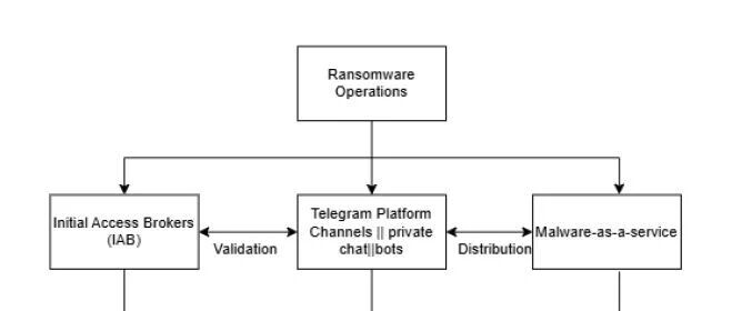 cover_image