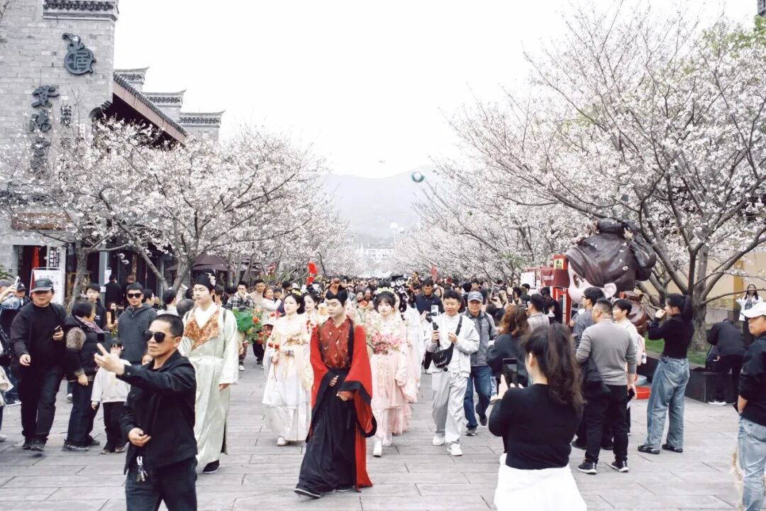 紫阳街白74.jpg