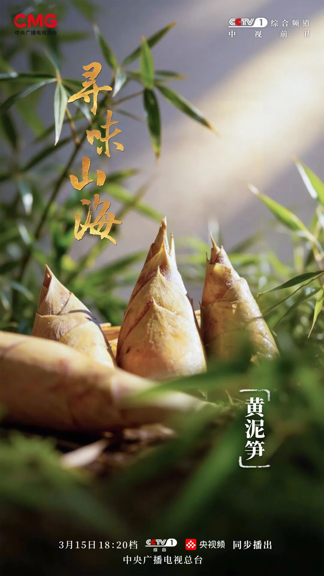 黄泥笋-无商务.jpg