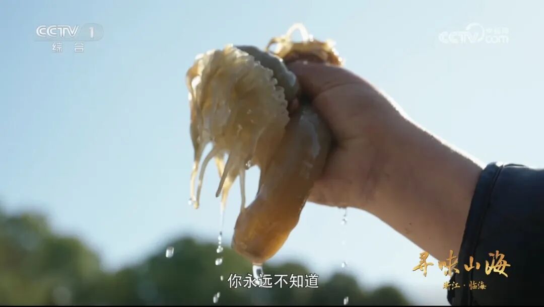 沙蒜特写.png