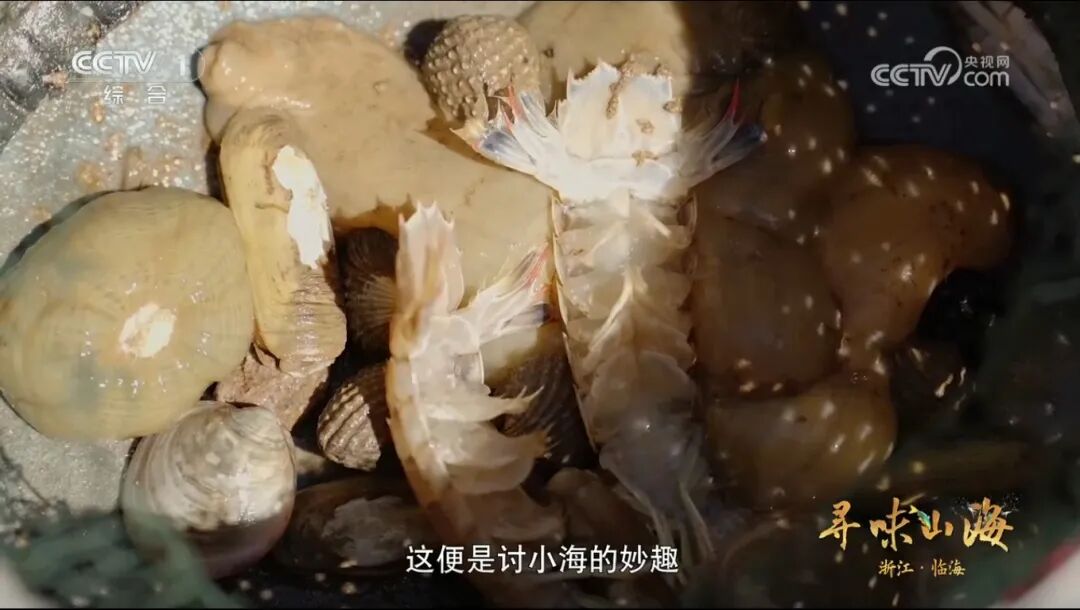 套小海.png