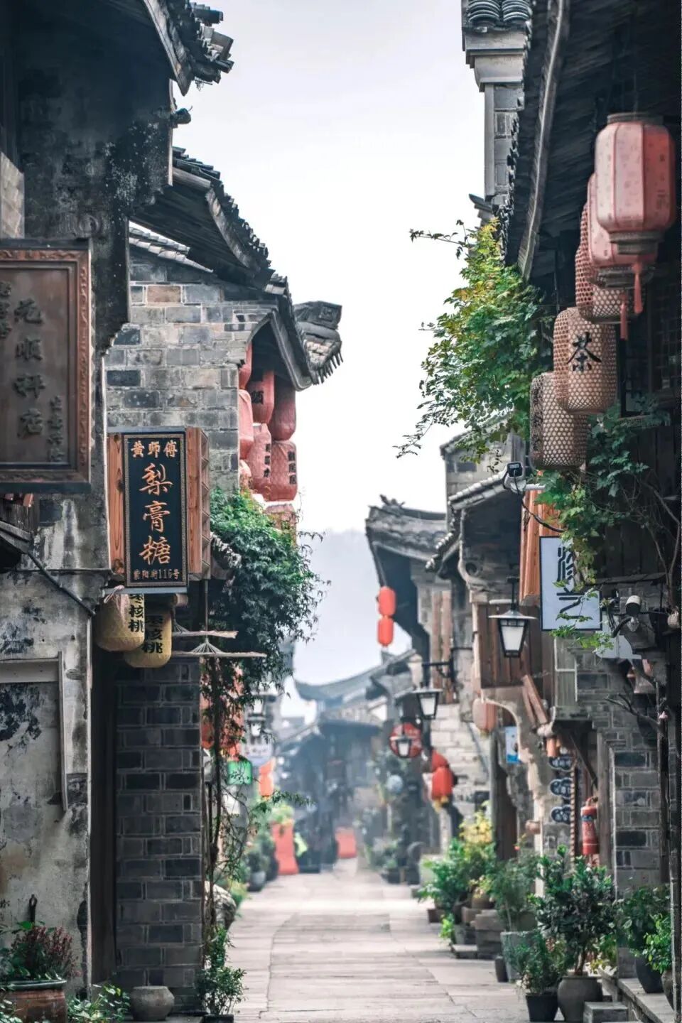 紫阳街5_179.jpg