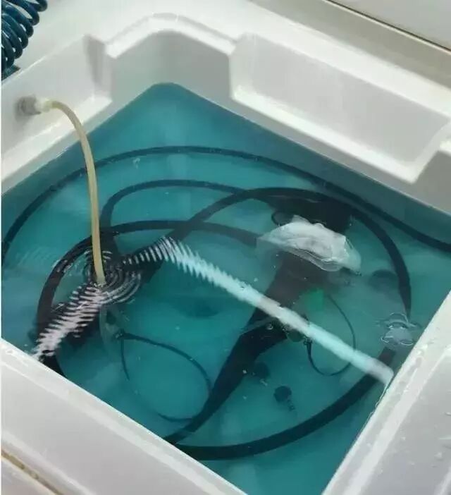 活检钳怎么消毒平常做的胃肠镜检查是如何消毒的？_https://www.jmylbn.com_新闻资讯_第5张