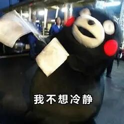 1例交沙霉素治疗儿童肺炎支原体肺炎的病例分析